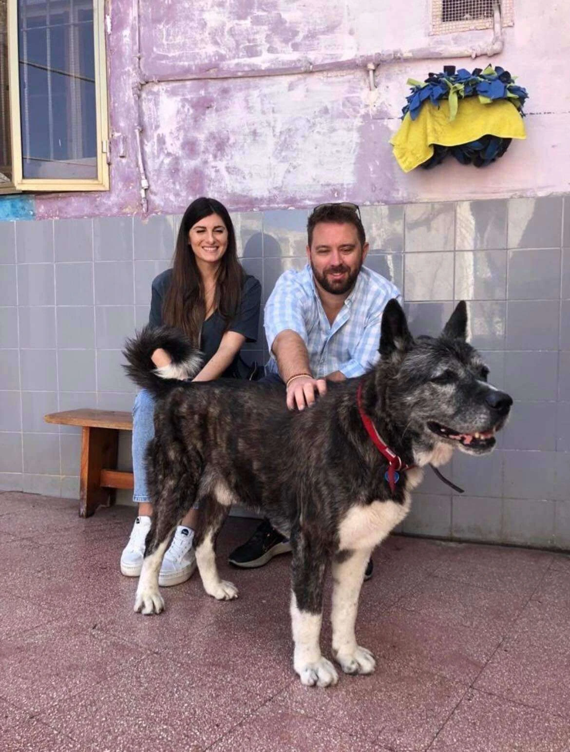 CEO Phil Pearson and Head of Account Management Debbie Cooper visit the MSPCA in Malta