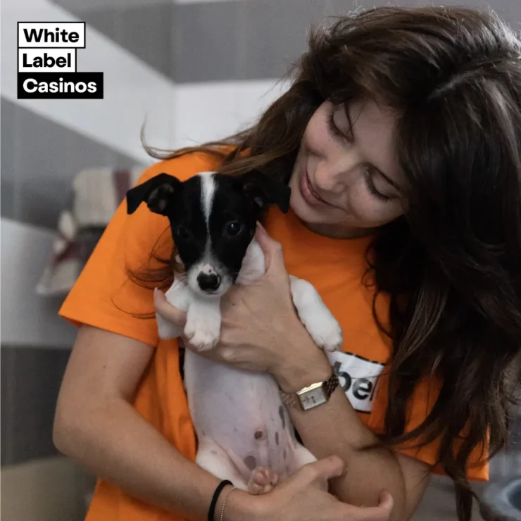 White Label Casinos Fundraising Impact on the MSPCA