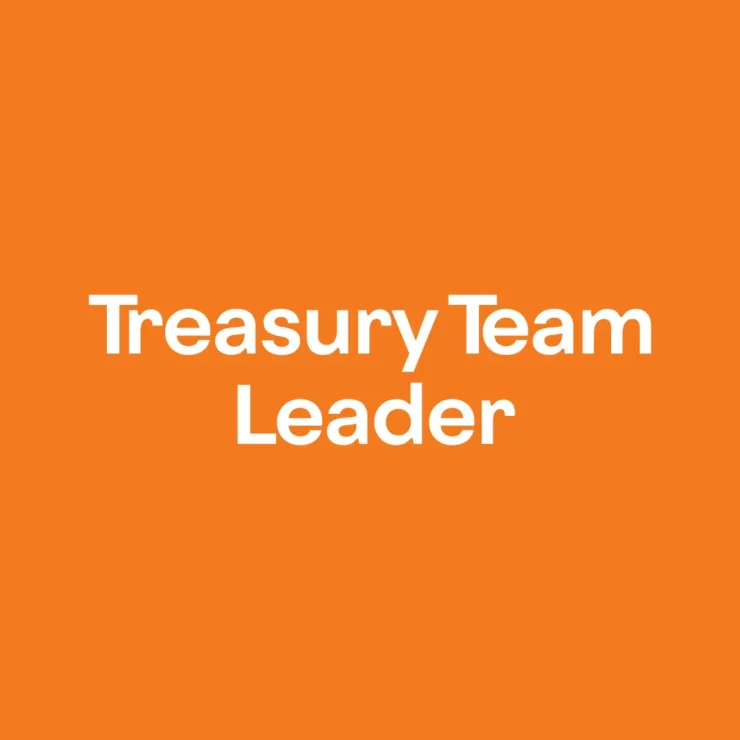 Treasury Team Leader